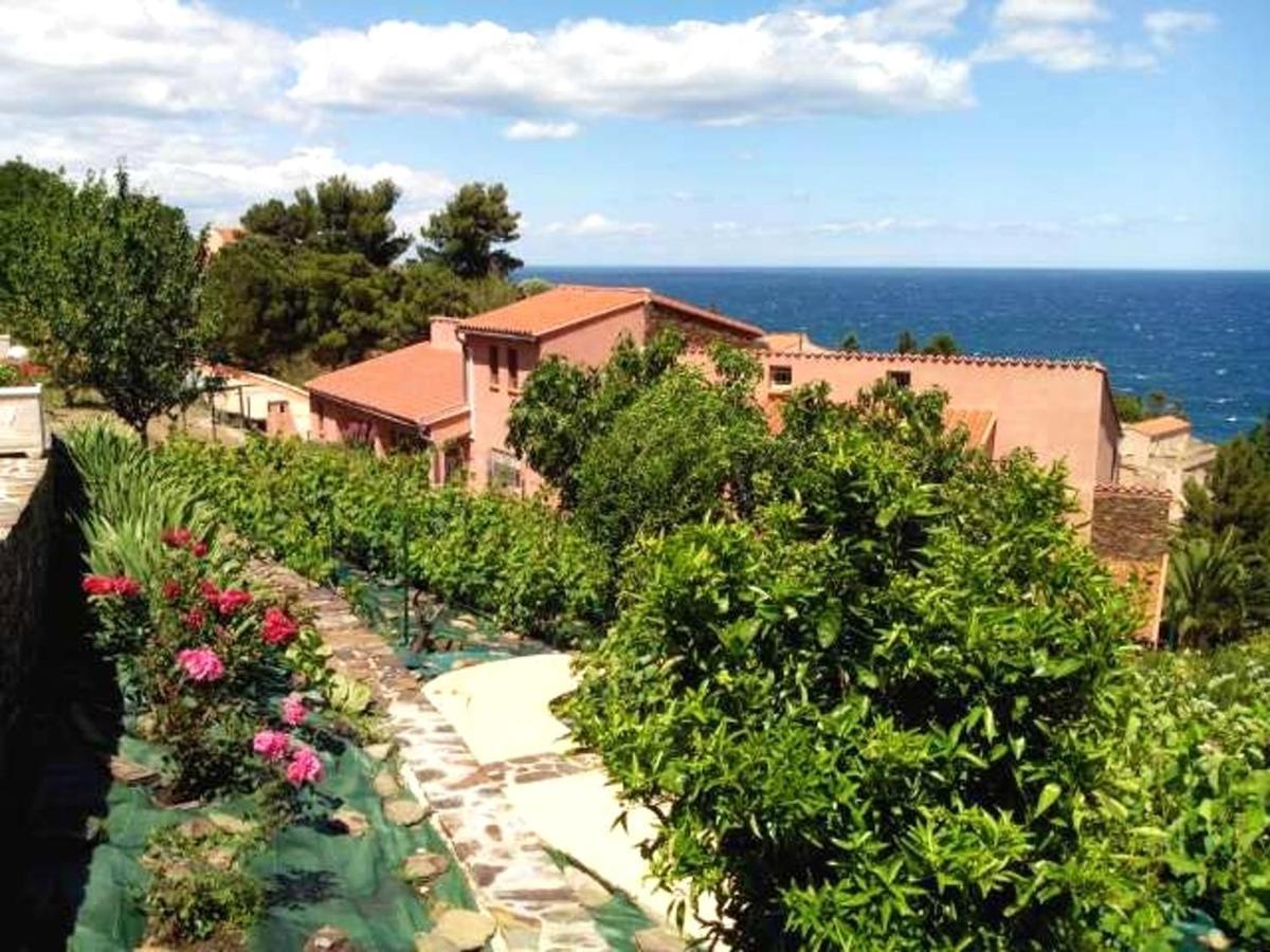Appartement Lumineux A Collioure Avec Terrasse Et Vue Sur Mer Exterior photo